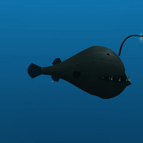 Anglerfish