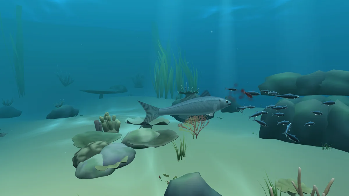 MIDCHAIN hunting in the reef