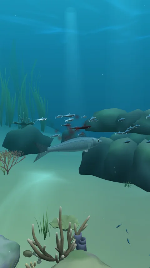 MIDCHAIN Reef environment